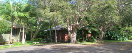 bungalows at Lighthouse Beach Holiday Village